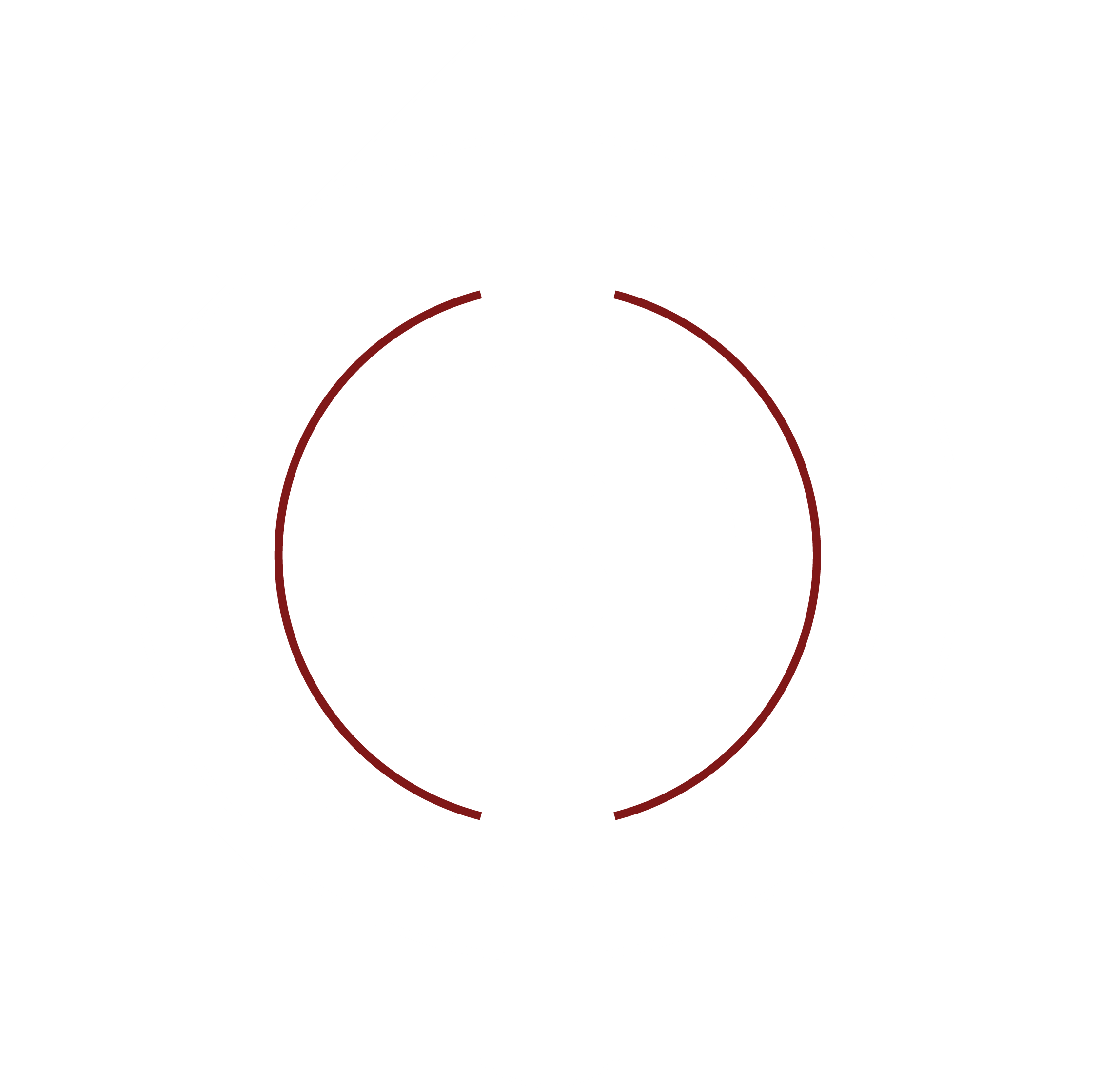 SafeForce